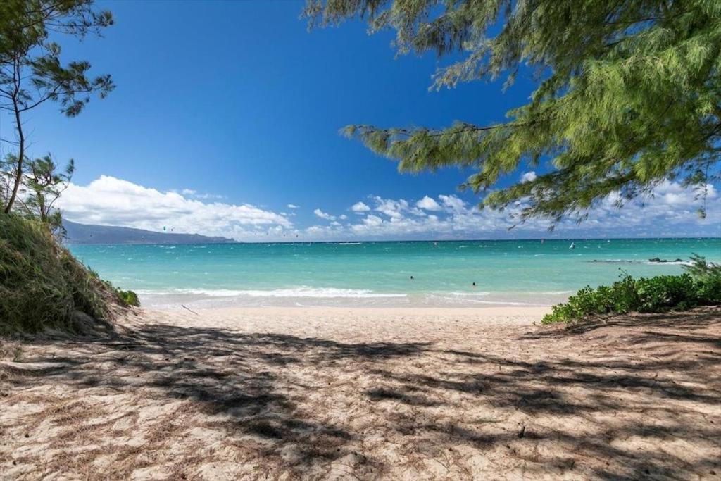 Unit 19 Maui Ohana Modern Studio Wailuku ภายนอก รูปภาพ