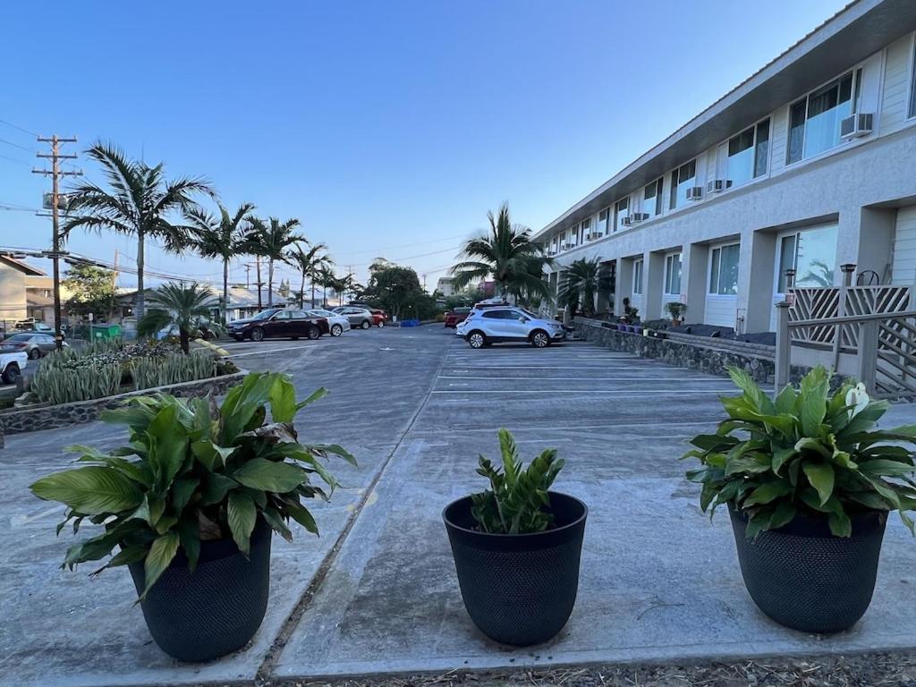 Unit 19 Maui Ohana Modern Studio Wailuku ภายนอก รูปภาพ